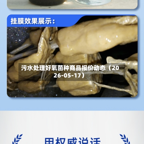 污水处理好氧菌种商品报价动态（2026-05-17）