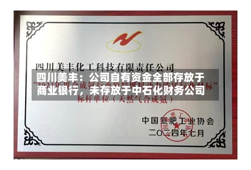 四川美丰：公司自有资金全部存放于商业银行	，未存放于中石化财务公司-第2张图片