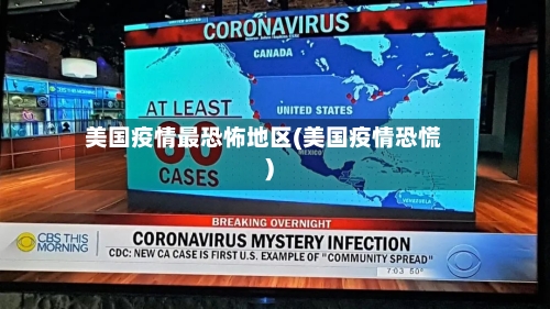 美国疫情最恐怖地区(美国疫情恐慌)-第2张图片