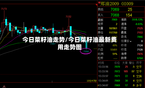 今日菜籽油走势/今日菜籽油最新费用走势图