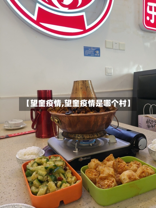 【望奎疫情,望奎疫情是哪个村】