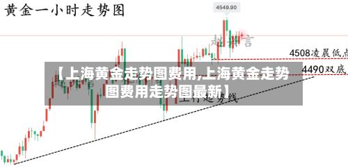 【上海黄金走势图费用,上海黄金走势图费用走势图最新】