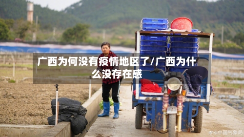 广西为何没有疫情地区了/广西为什么没存在感