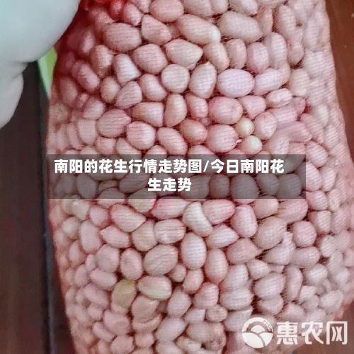 南阳的花生行情走势图/今日南阳花生走势-第2张图片