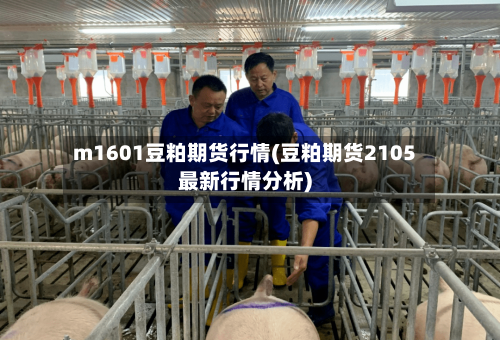 m1601豆粕期货行情(豆粕期货2105最新行情分析)