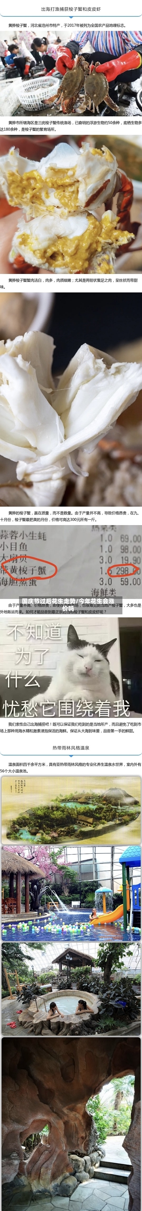 国庆节过后花生走势/今年花生会涨价吗