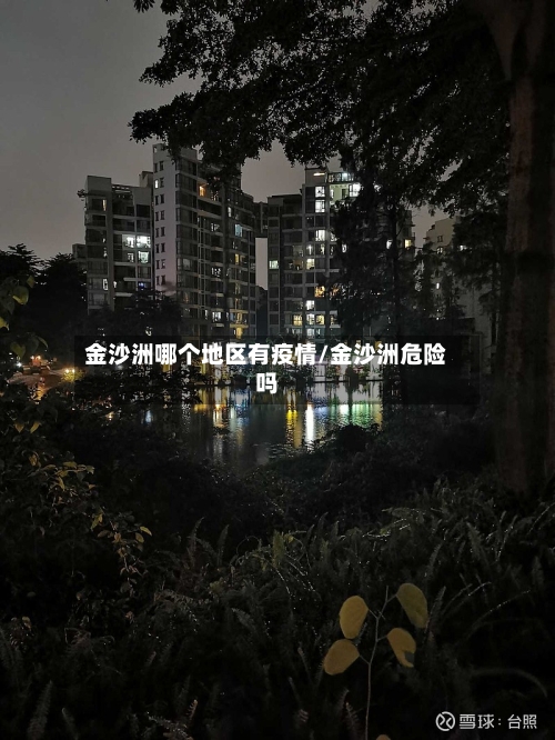 金沙洲哪个地区有疫情/金沙洲危险吗-第2张图片