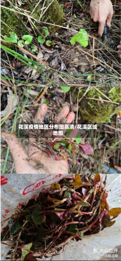花溪疫情地区分布图高清/花溪区域地图-第2张图片