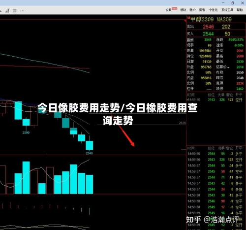 今日像胶费用走势/今日橡胶费用查询走势