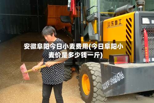 安徽阜阳今日小麦费用(今日阜阳小麦价是多少钱一斤)-第2张图片