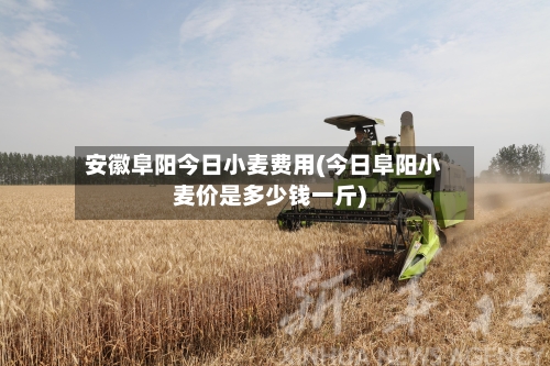 安徽阜阳今日小麦费用(今日阜阳小麦价是多少钱一斤)-第3张图片