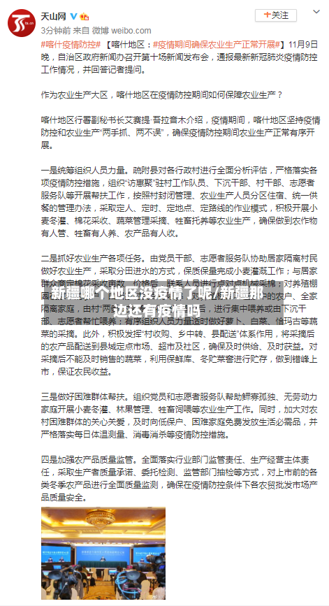 新疆哪个地区没疫情了呢/新疆那边还有疫情吗-第3张图片