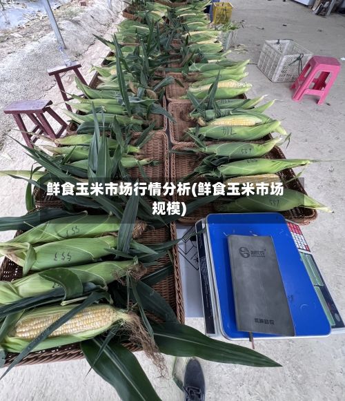 鲜食玉米市场行情分析(鲜食玉米市场规模)-第2张图片