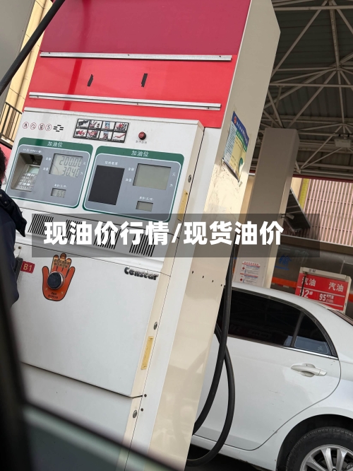现油价行情/现货油价