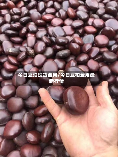 今日豆泊现货费用/今日豆柏费用最新行情-第2张图片