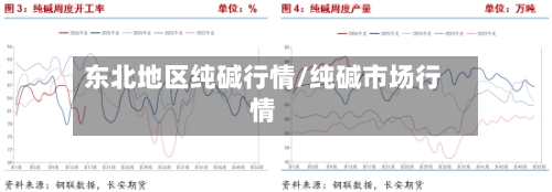 东北地区纯碱行情/纯碱市场行情