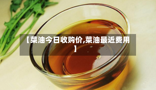 【菜油今日收购价,菜油最近费用】