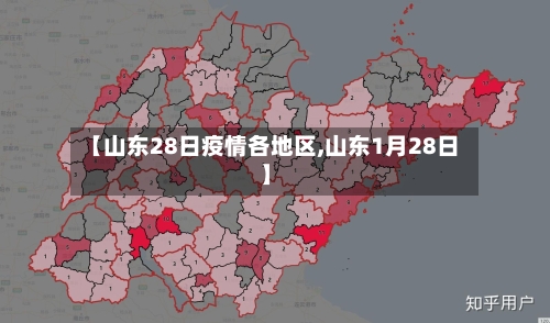 【山东28日疫情各地区,山东1月28日】