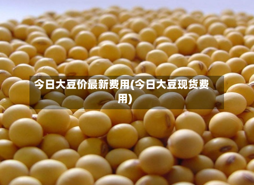 今日大豆价最新费用(今日大豆现货费用)-第3张图片
