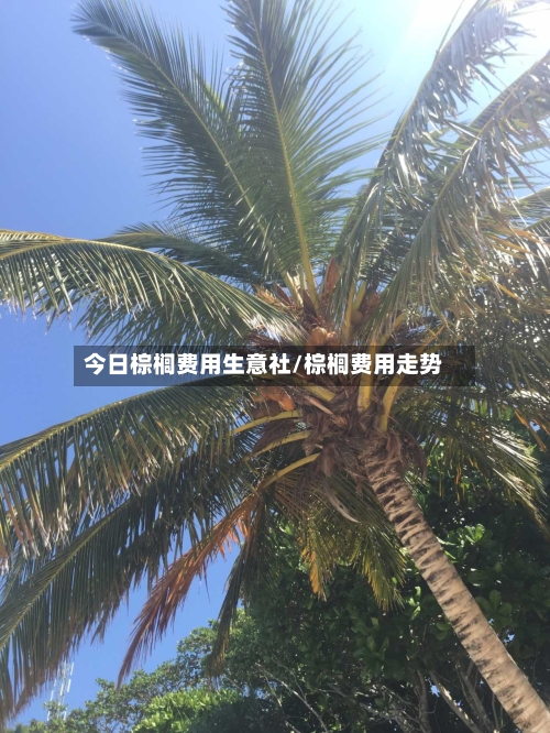 今日棕榈费用生意社/棕榈费用走势