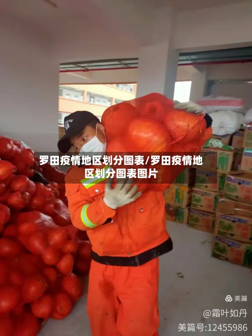 罗田疫情地区划分图表/罗田疫情地区划分图表图片-第2张图片