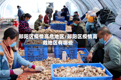 郧阳区疫情高危地区/郧阳区疫情高危地区有哪些