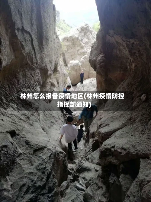 林州怎么报备疫情地区(林州疫情防控指挥部通知)