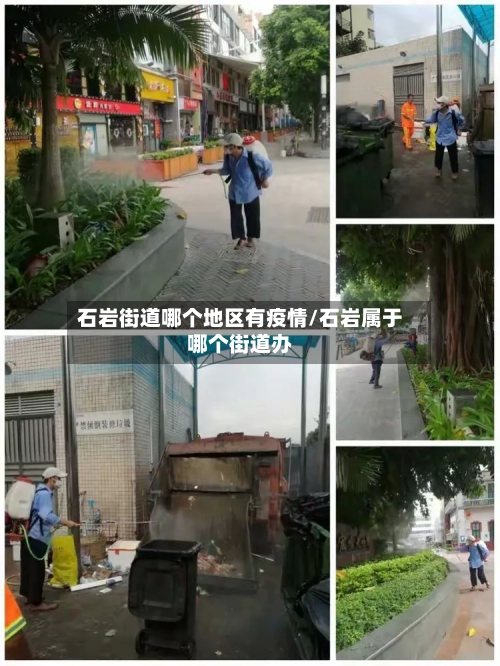 石岩街道哪个地区有疫情/石岩属于哪个街道办-第2张图片