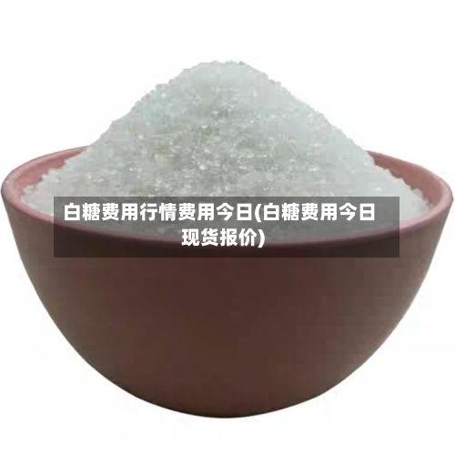白糖费用行情费用今日(白糖费用今日现货报价)