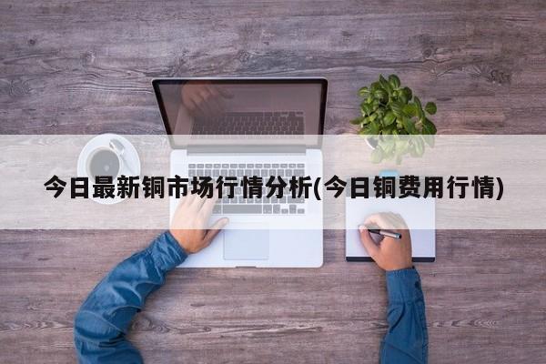 今日最新铜市场行情分析(今日铜费用行情)