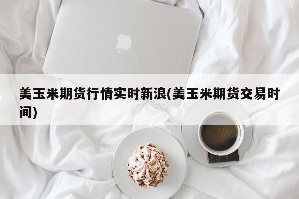 美玉米期货行情实时新浪(美玉米期货交易时间)