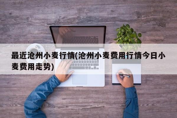 最近沧州小麦行情(沧州小麦费用行情今日小麦费用走势)